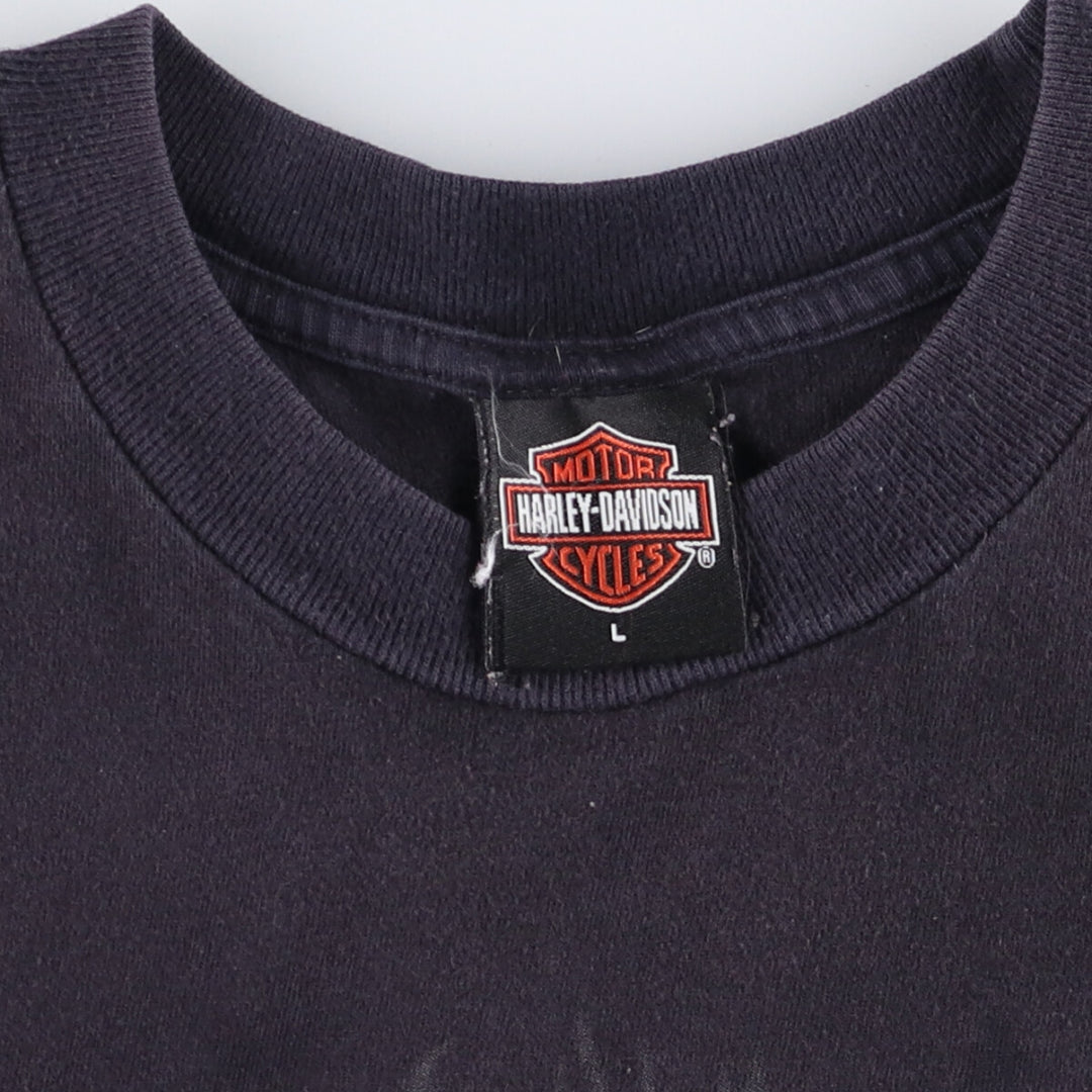 2000'S Harley-Davidson Skull Pattern with Skull Wings Motorcycle T-Shirt, Made in USA, Men's Size Large cotton black type Vintage Second Hand