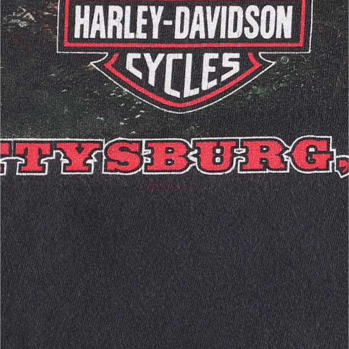 Harley-Davidson Fire Pattern Motorcycle Bike T-Shirt Made in USA Men's XL cotton black type Vintage Second Hand