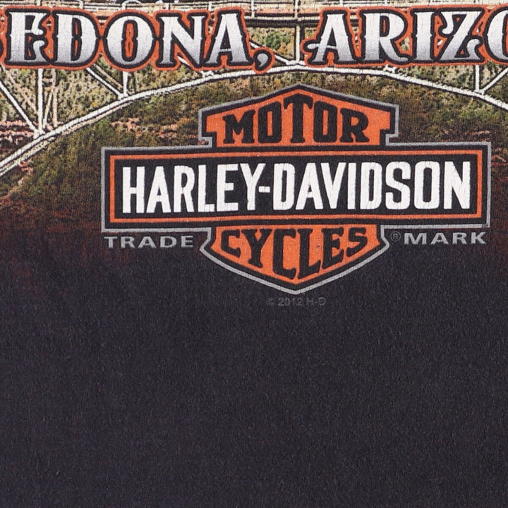 Harley-Davidson Fire Pattern Motorcycle Bike T-Shirt Men's XL cotton black type Vintage Second Hand