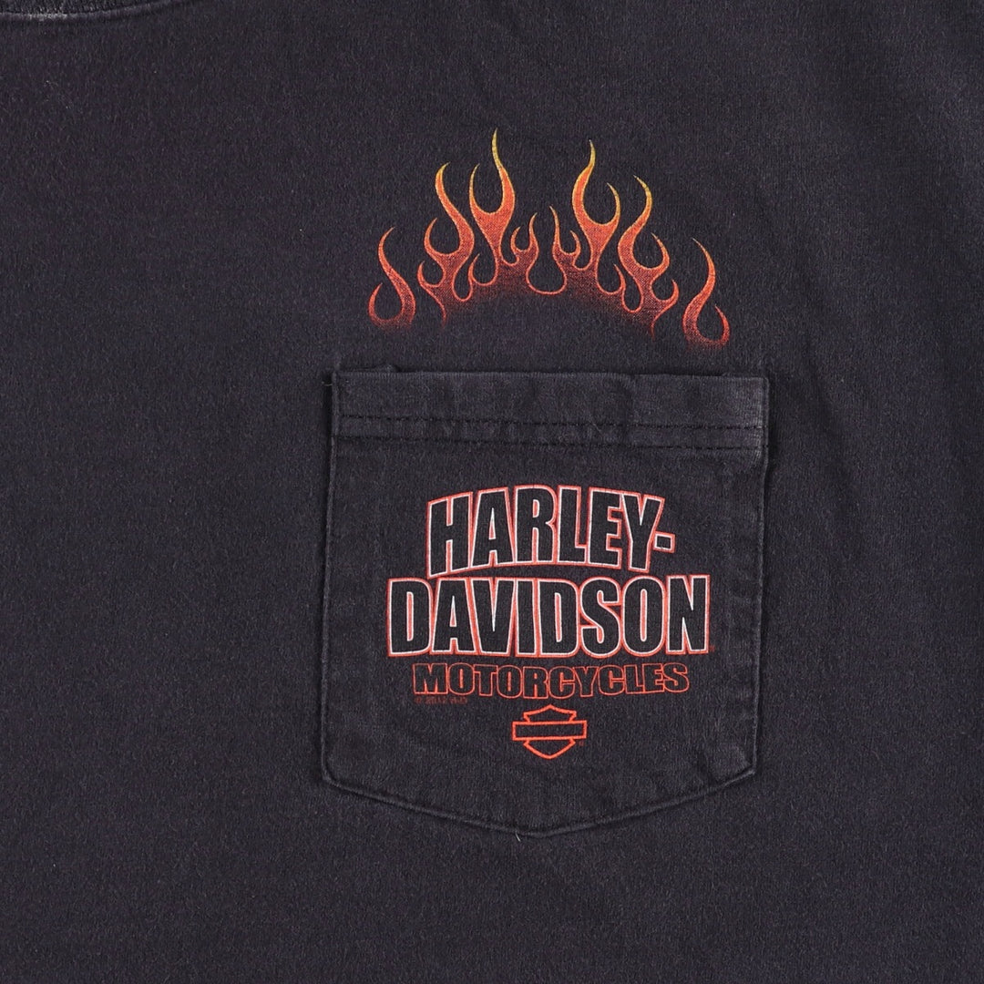 Harley-Davidson Fire Pattern Motorcycle Bike T-Shirt Men's XL cotton black type Vintage Second Hand