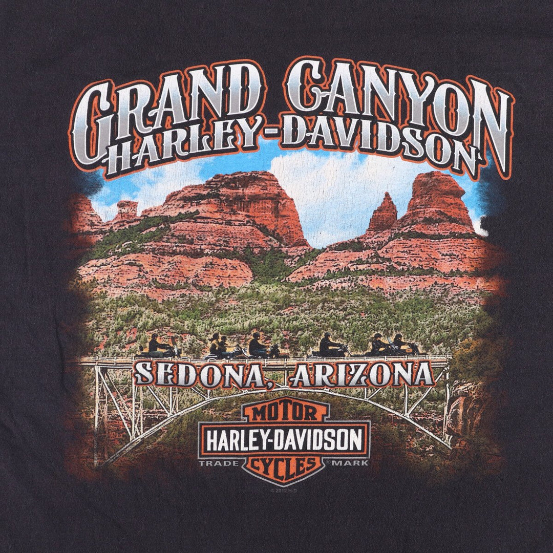 Harley-Davidson Fire Pattern Motorcycle Bike T-Shirt Men's XL cotton black type Vintage Second Hand