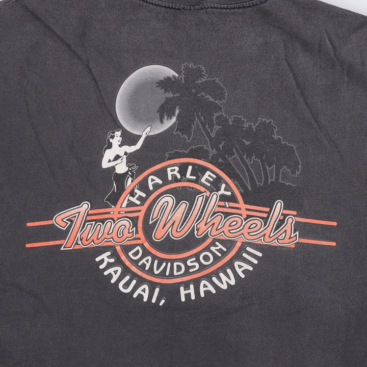 Harley-Davidson Motorcycle Bike T-shirt Made in USA Men's XXL cotton black type Vintage Second Hand