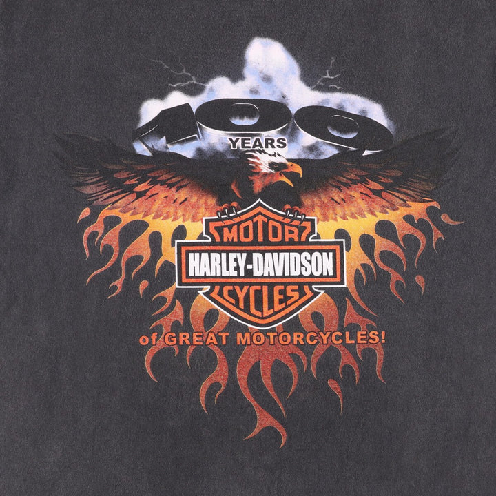 Harley-Davidson Fire Pattern Motorcycle Bike T-Shirt Men's XL unclear black type Vintage Second Hand