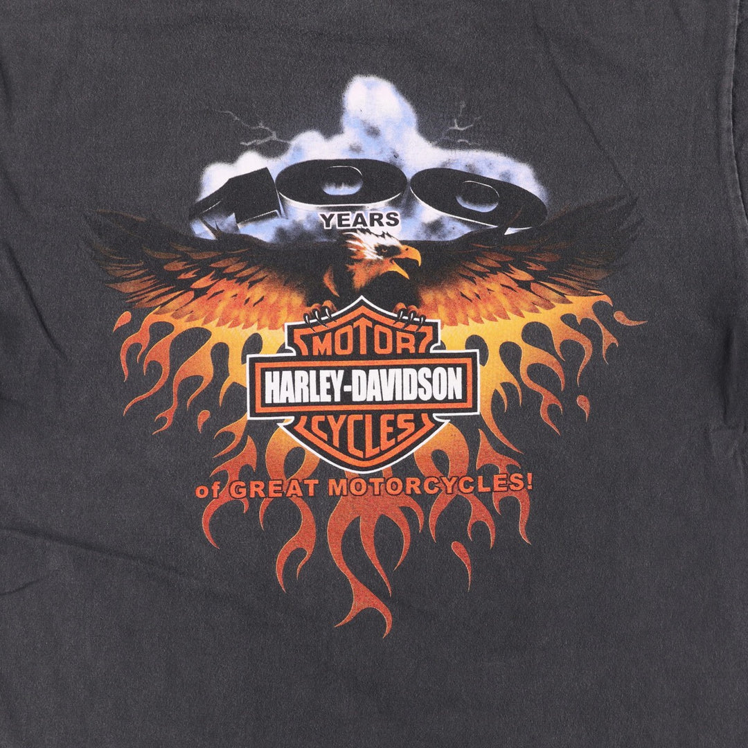 Harley-Davidson Fire Pattern Motorcycle Bike T-Shirt Men's XL unclear black type Vintage Second Hand