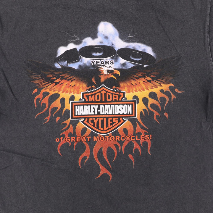 Harley-Davidson Fire Pattern Motorcycle Bike T-Shirt Men's XL unclear black type Vintage Second Hand