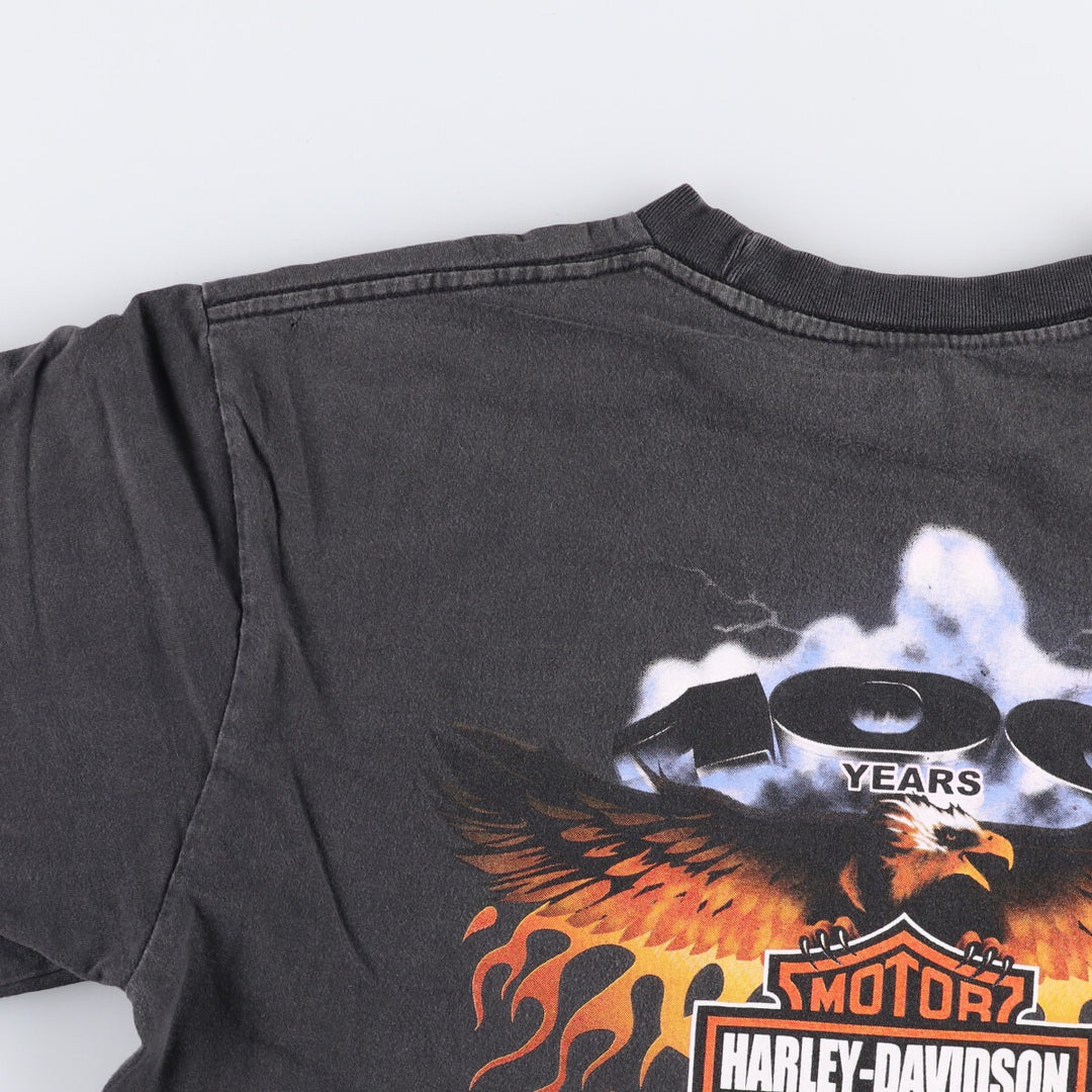 Harley-Davidson Fire Pattern Motorcycle Bike T-Shirt Men's XL unclear black type Vintage Second Hand