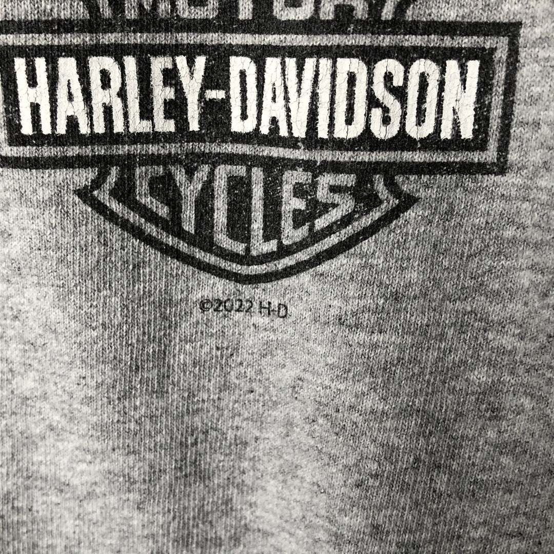 Harley-Davidson Skull Pattern Motorcycle Bike T-shirt Men's XL cotton gray type Vintage Second Hand