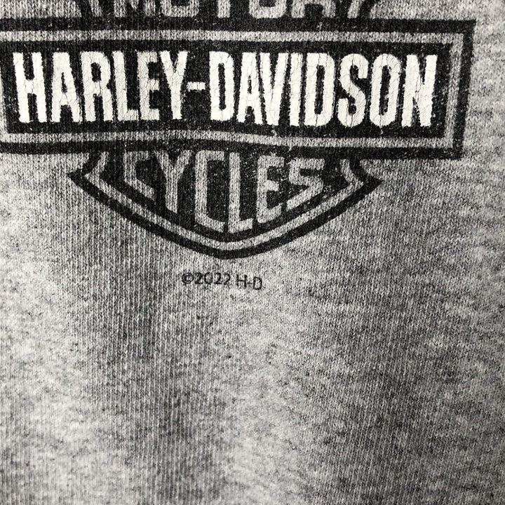 Harley-Davidson Skull Pattern Motorcycle Bike T-shirt Men's XL cotton gray type Vintage Second Hand