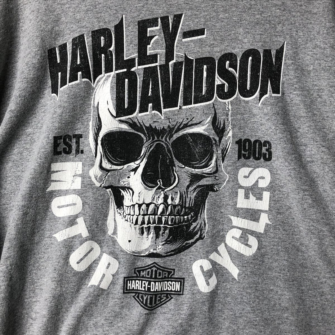 Harley-Davidson Skull Pattern Motorcycle Bike T-shirt Men's XL cotton gray type Vintage Second Hand