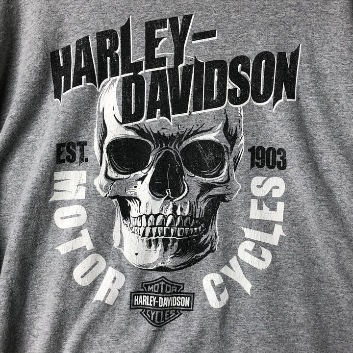 Harley-Davidson Skull Pattern Motorcycle Bike T-shirt Men's XL cotton gray type Vintage Second Hand