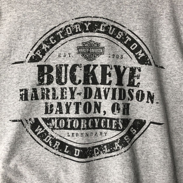 Harley-Davidson Skull Pattern Motorcycle Bike T-shirt Men's XL cotton gray type Vintage Second Hand
