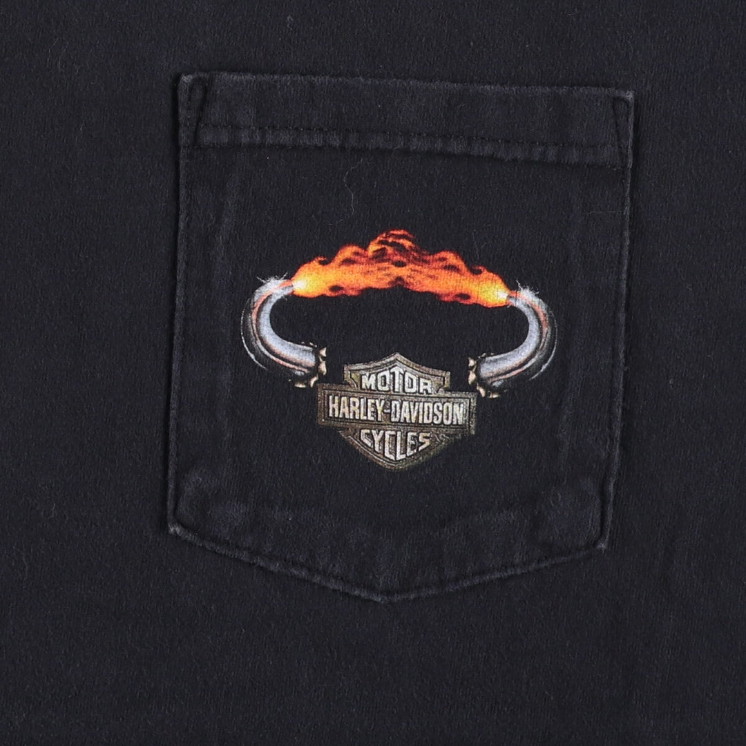 Harley-Davidson Fire Pattern Motorcycle Bike T-Shirt Made in USA Men's L size cotton black type Vintage Second Hand