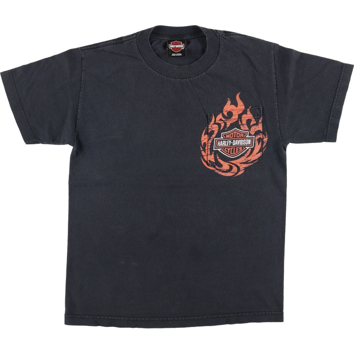 Harley-Davidson Pin-Up Girl Fire Pattern Motorcycle Bike T-Shirt, Men's Size Small cotton black type Vintage Second Hand