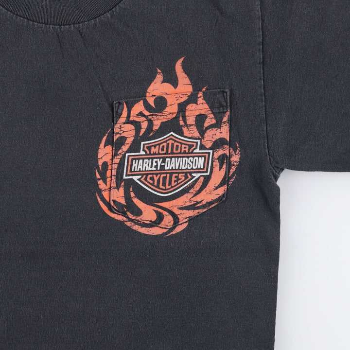 Harley-Davidson Pin-Up Girl Fire Pattern Motorcycle Bike T-Shirt, Men's Size Small cotton black type Vintage Second Hand