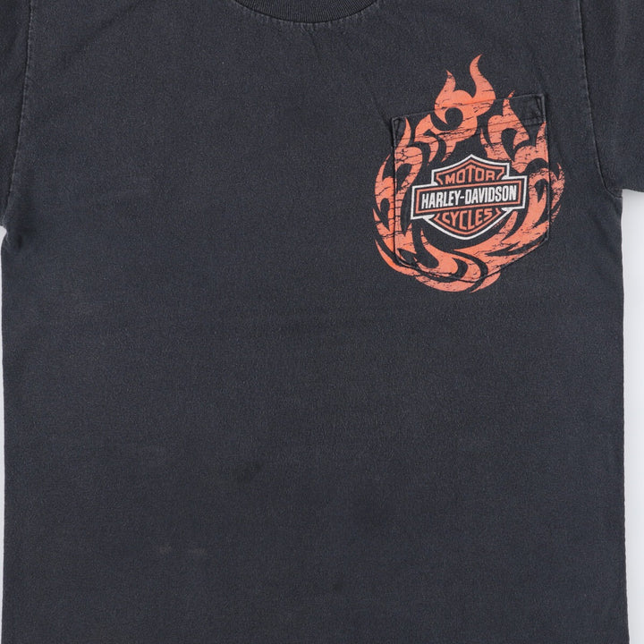 Harley-Davidson Pin-Up Girl Fire Pattern Motorcycle Bike T-Shirt, Men's Size Small cotton black type Vintage Second Hand