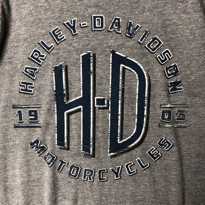 Harley-Davidson Motorcycle Bike T-shirt, Men's XL size polyester gray type Vintage Second Hand