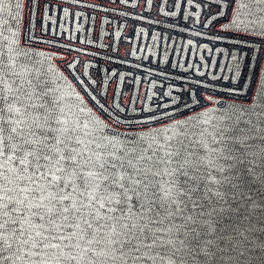 Oversized Harley-Davidson Stars and Stripes Motorcycle T-shirt, Men's, Size XXXL cotton gray type Vintage Second Hand