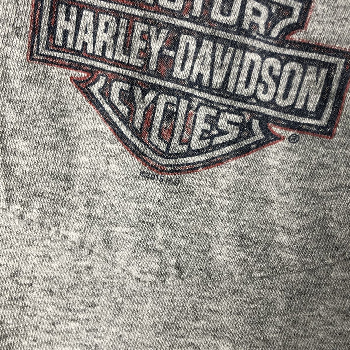 Oversized Harley-Davidson Stars and Stripes Motorcycle T-shirt, Men's, Size XXXL cotton gray type Vintage Second Hand