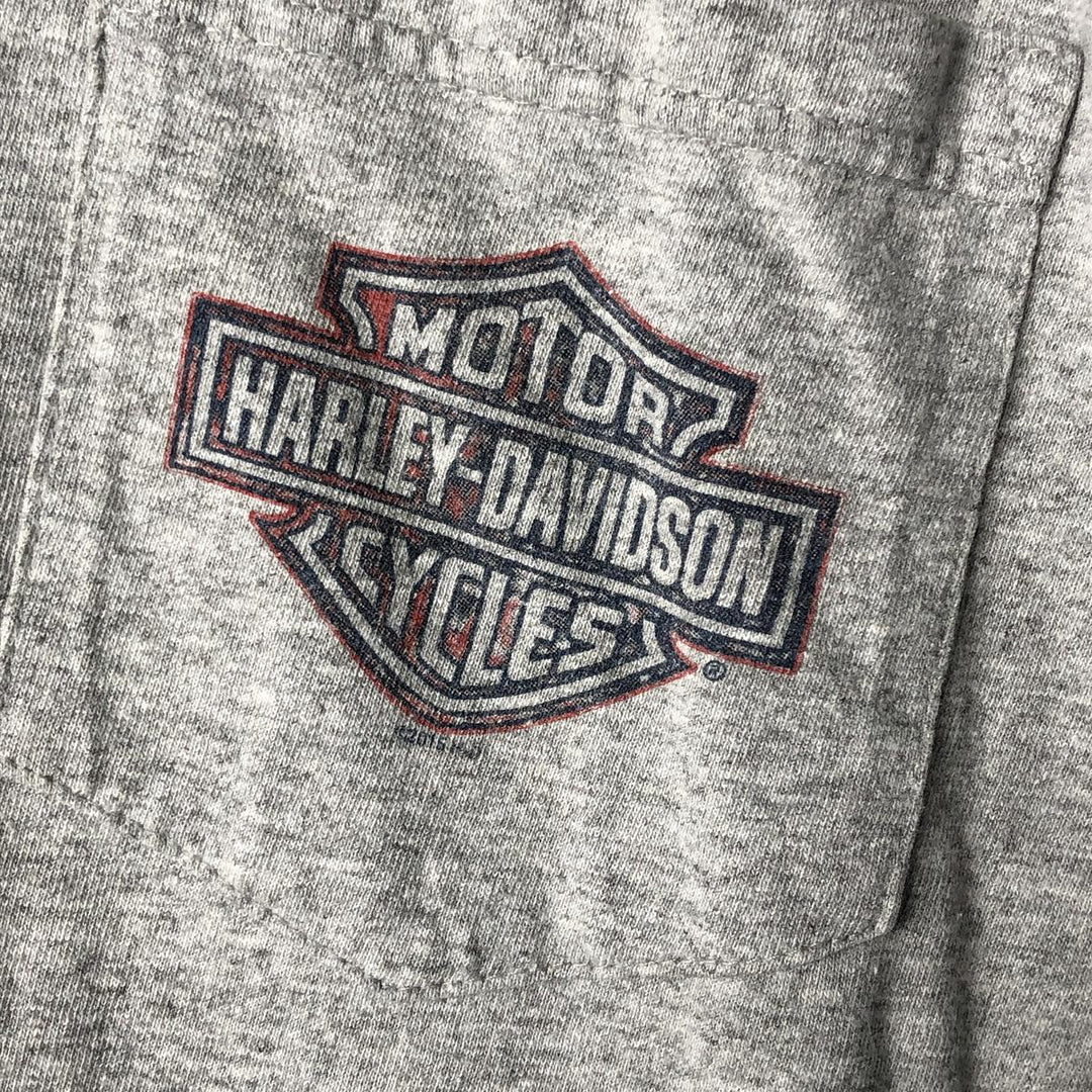 Oversized Harley-Davidson Stars and Stripes Motorcycle T-shirt, Men's, Size XXXL cotton gray type Vintage Second Hand