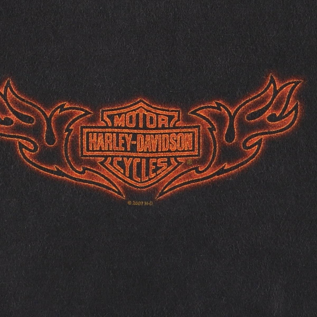 Harley-Davidson Motorcycle T-shirt Made in USA cotton black type Vintage Second Hand