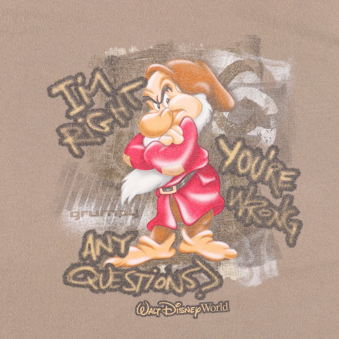 2000'S Disney Walt Disney World Snow White and the Seven Dwarfs Grumpy Character Print T-Shirt, Men's Size L unclear beige type brown Vintage Second Hand