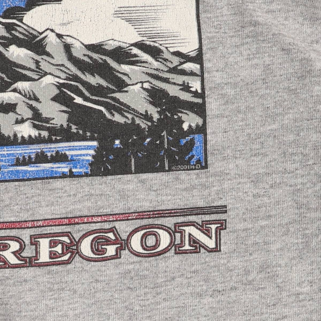 00'S Harley-Davidson Long Sleeve T-Shirt, Men's XL Size unclear gray type Vintage Second Hand