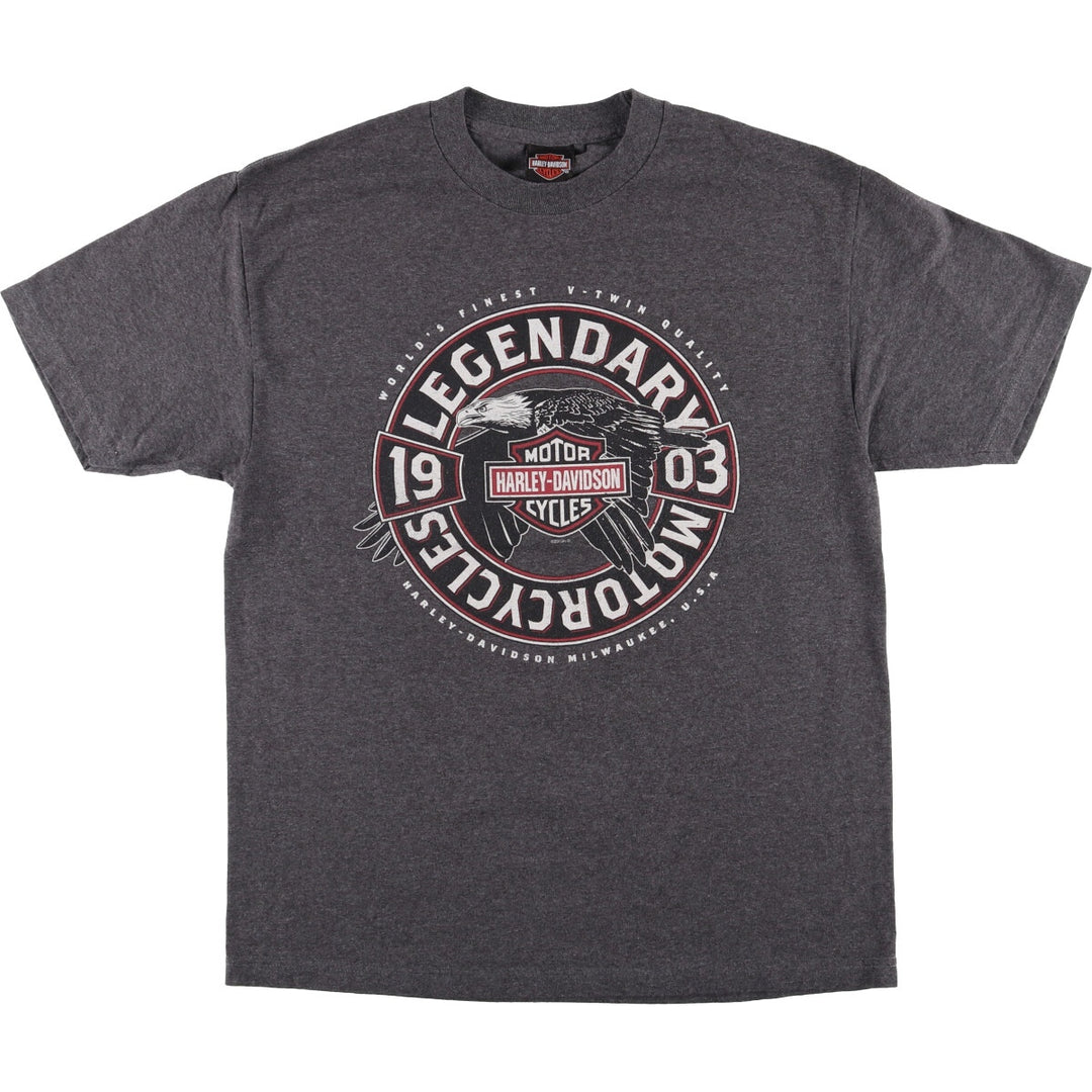 Harley-Davidson Motorcycle Bike T-shirt, Men's Size L cotton gray type Vintage Second Hand