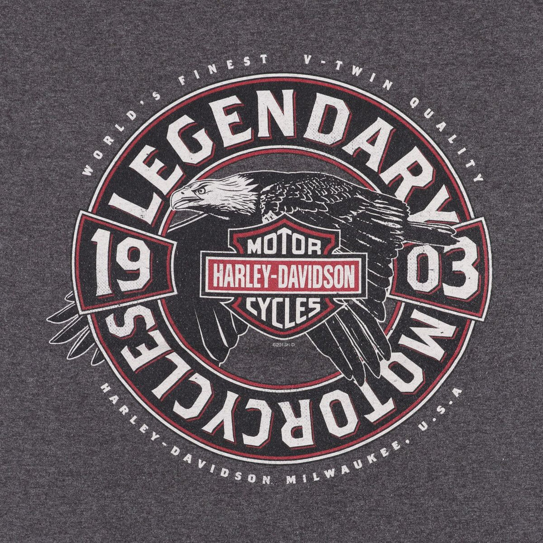 Harley-Davidson Motorcycle Bike T-shirt, Men's Size L cotton gray type Vintage Second Hand