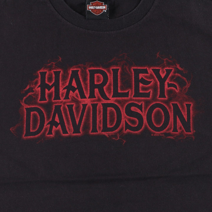Harley Davidson Skull Pattern Fire Pattern Motorcycle Bike T-shirt Men's L size cotton black type Vintage Second Hand