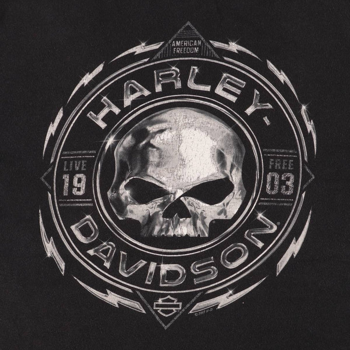 Harley-Davidson Skull Pattern Motorcycle Bike T-shirt Made in USA Men's XL cotton black type Vintage Second Hand