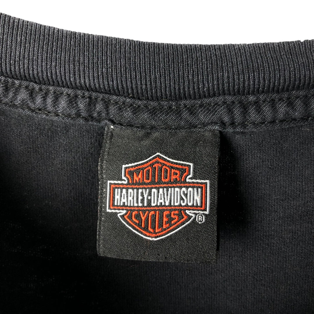 Vintage Harley-Davidson Motorcycle Paint Bike T-Shirt, Men's Size Large unclear black type Vintage Second Hand