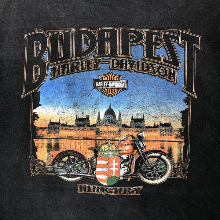Vintage Harley-Davidson Motorcycle Paint Bike T-Shirt, Men's Size Large unclear black type Vintage Second Hand