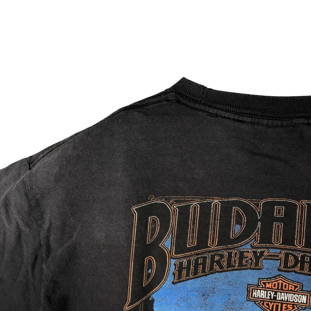 Vintage Harley-Davidson Motorcycle Paint Bike T-Shirt, Men's Size Large unclear black type Vintage Second Hand