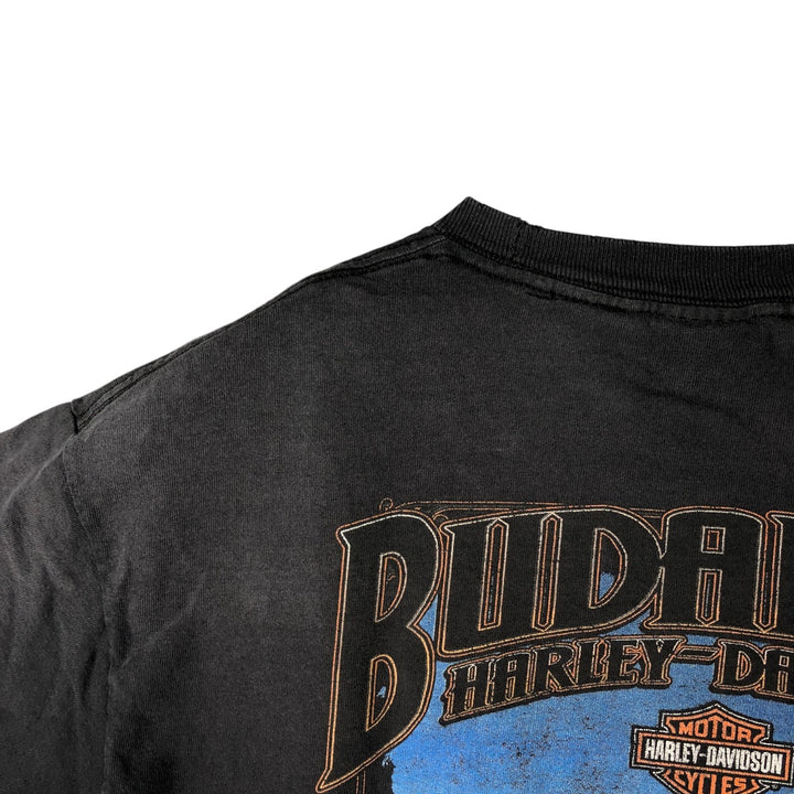 Vintage Harley-Davidson Motorcycle Paint Bike T-Shirt, Men's Size Large unclear black type Vintage Second Hand