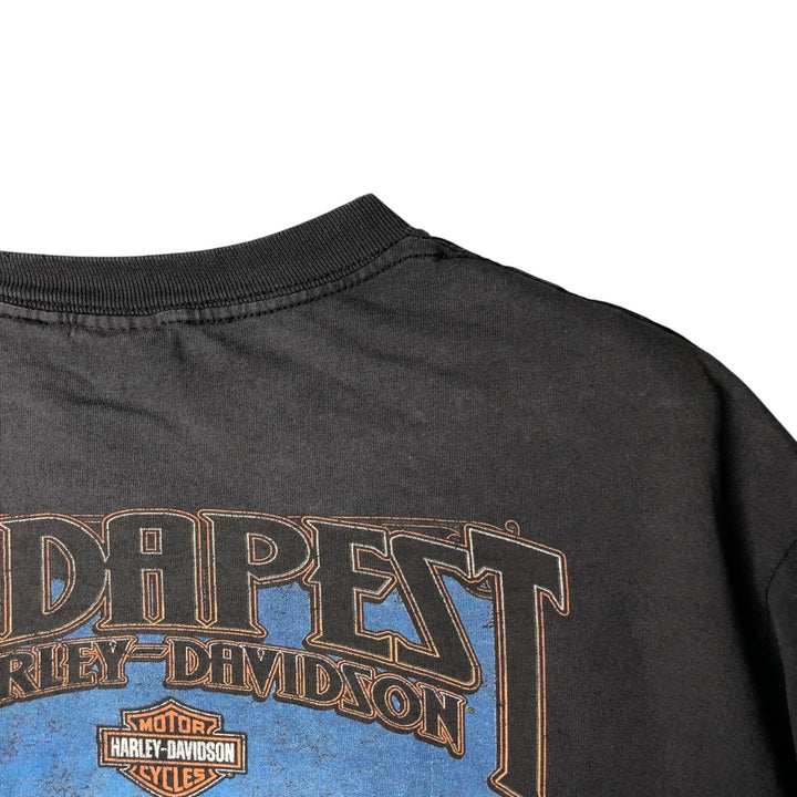 Vintage Harley-Davidson Motorcycle Paint Bike T-Shirt, Men's Size Large unclear black type Vintage Second Hand