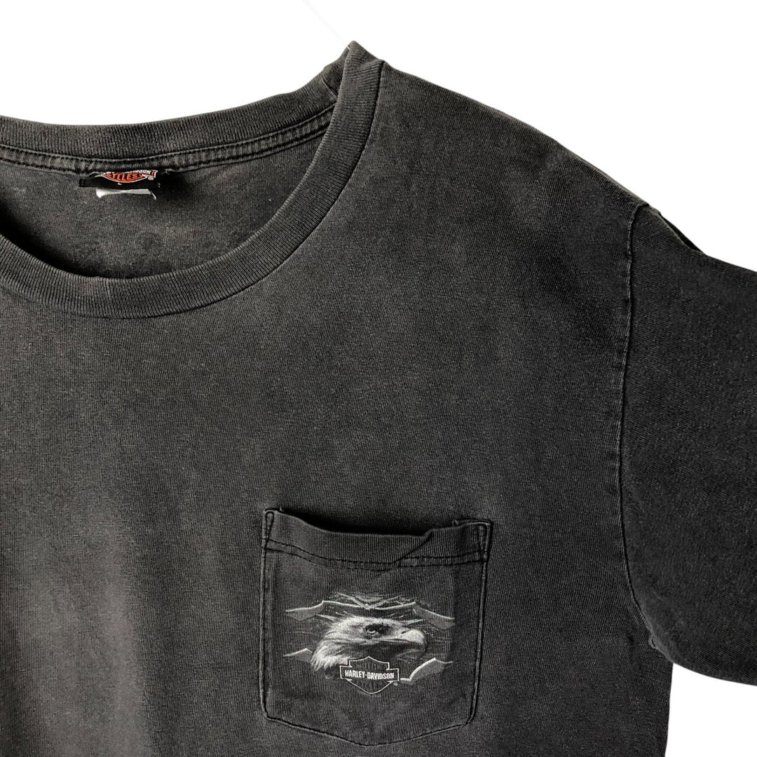 2000'S Harley-Davidson Eagle Pattern Motorcycle Long Sleeve T-Shirt, Men's Size L unclear Charcoal Vintage Second Hand