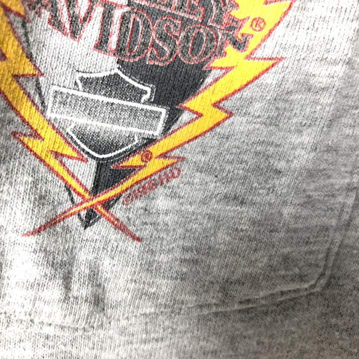 Vintage 90'S Harley-Davidson Eagle Motorcycle T-Shirt, Made in USA, Men's XXL cotton gray type Vintage Second Hand
