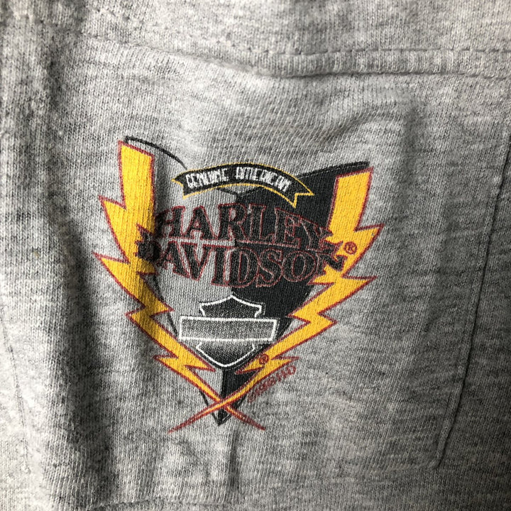 Vintage 90'S Harley-Davidson Eagle Motorcycle T-Shirt, Made in USA, Men's XXL cotton gray type Vintage Second Hand