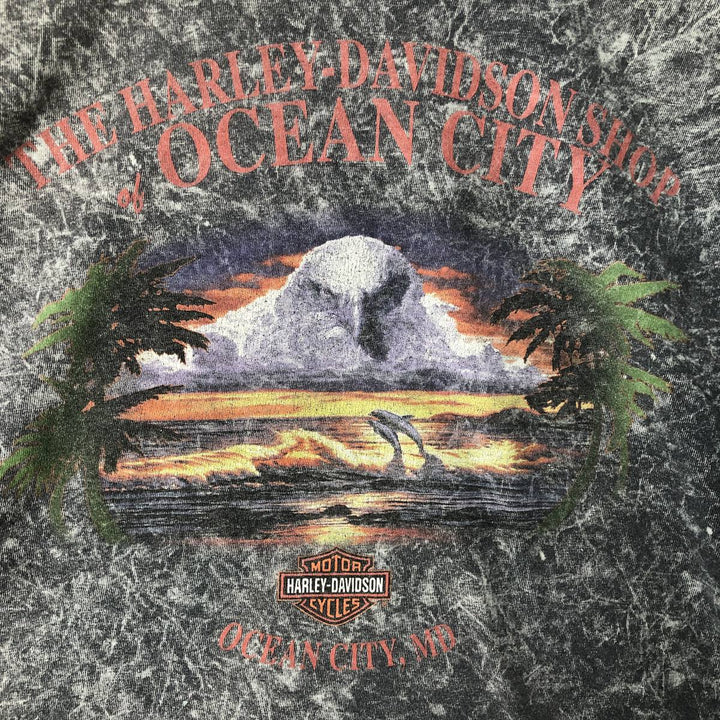 Harley-Davidson Motorcycle Bike T-shirt, Men's XL size cotton Charcoal Vintage Second Hand