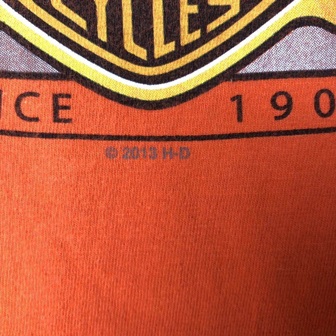 Harley-Davidson Fire Pattern Motorcycle Bike T-Shirt Men's XL cotton orange type Vintage Second Hand