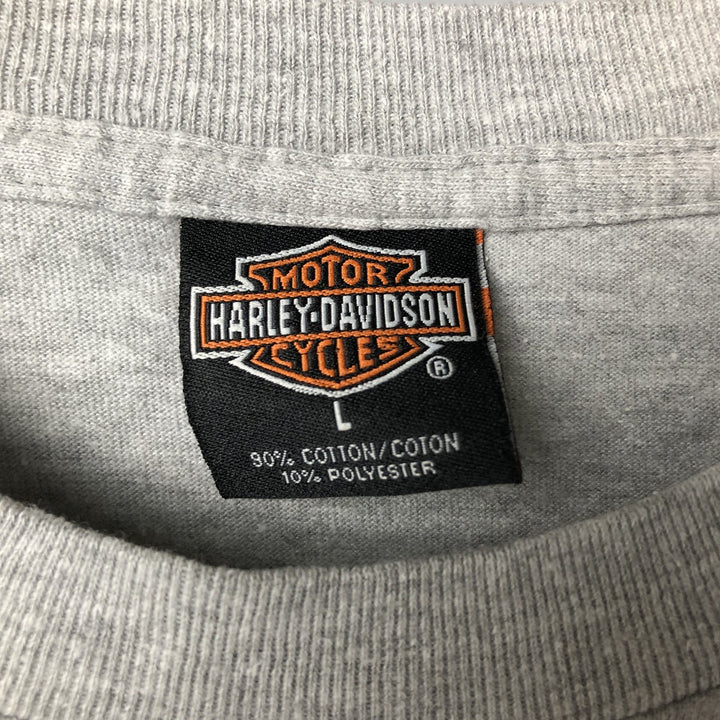 Harley-Davidson Motorcycle Bike T-shirt Made in USA Men's L size cotton gray type Vintage Second Hand