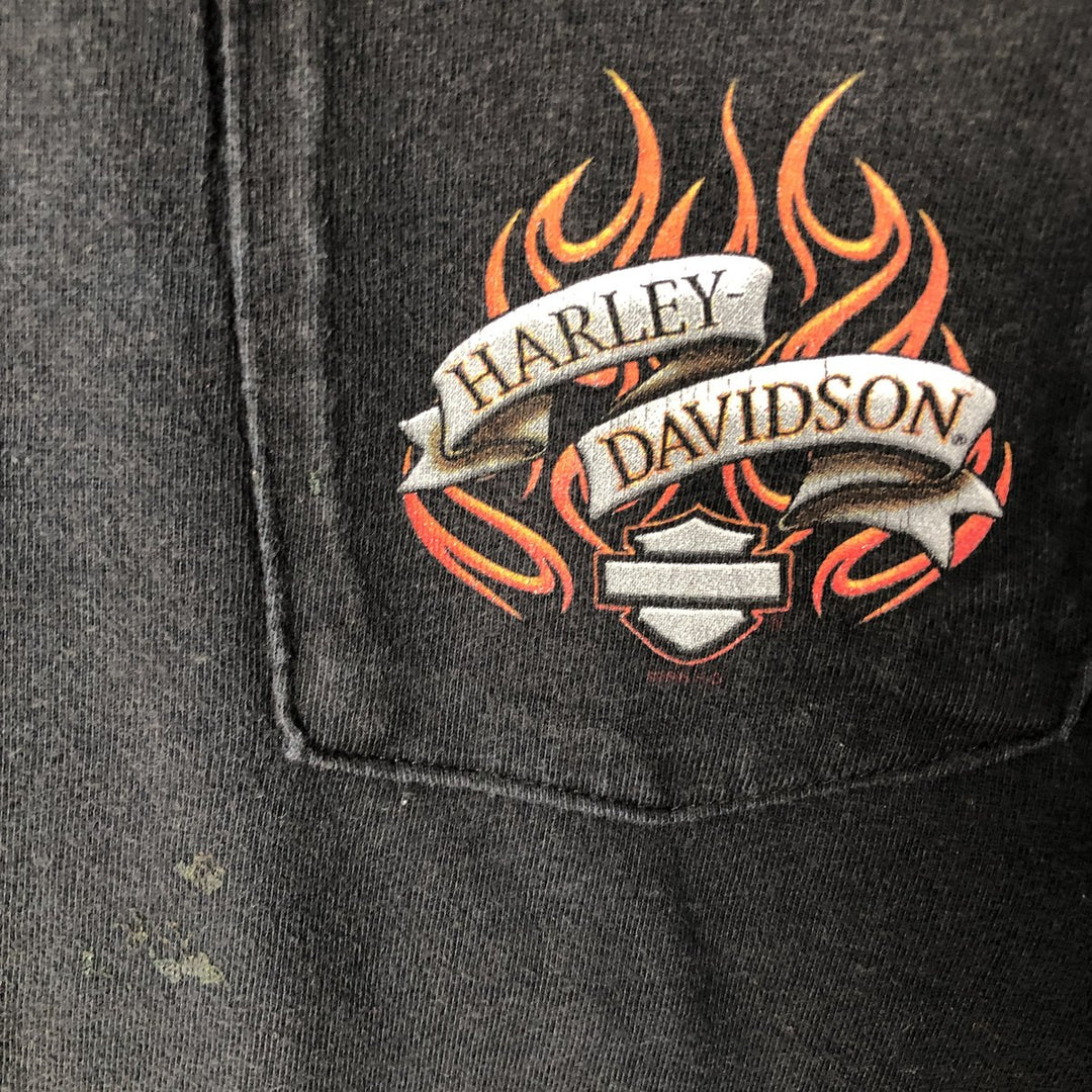 00'S Harley-Davidson Fire Pattern Motorcycle Bike T-Shirt Made in USA Men's L size cotton black type Vintage Second Hand