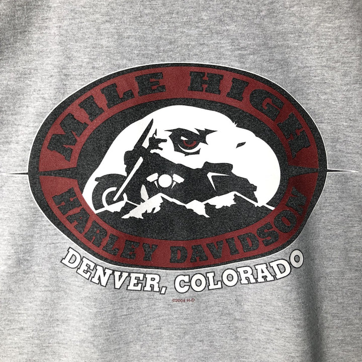 00'S Harley-Davidson Pin-up Girl Motorcycle Bike T-shirt Made in USA Men's XL cotton gray type Vintage Second Hand