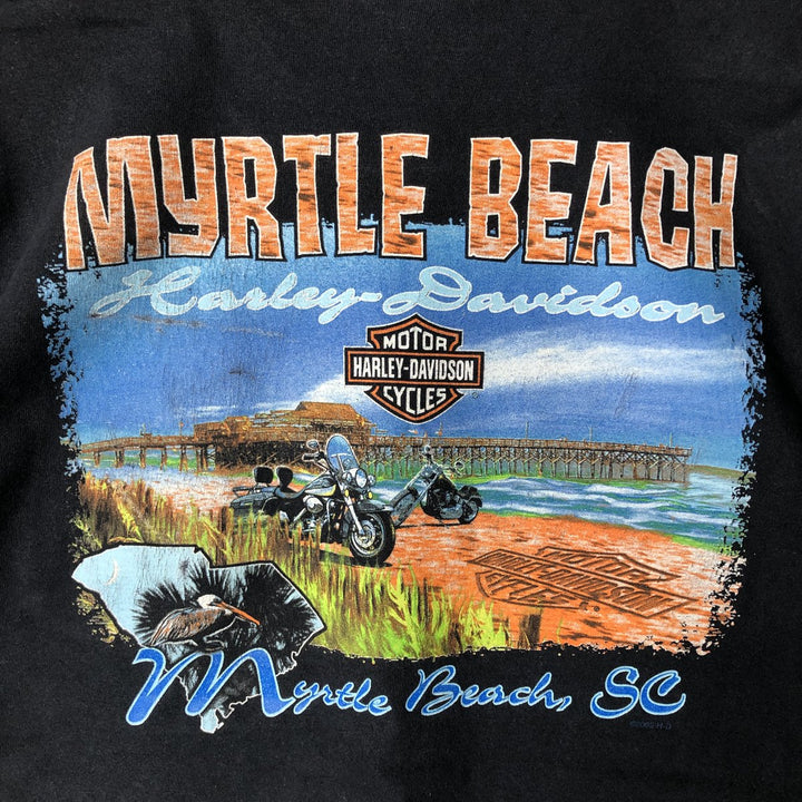 00'S Harley-Davidson Motorcycle Bike T-shirt Made in USA Men's L size cotton black type Vintage Second Hand