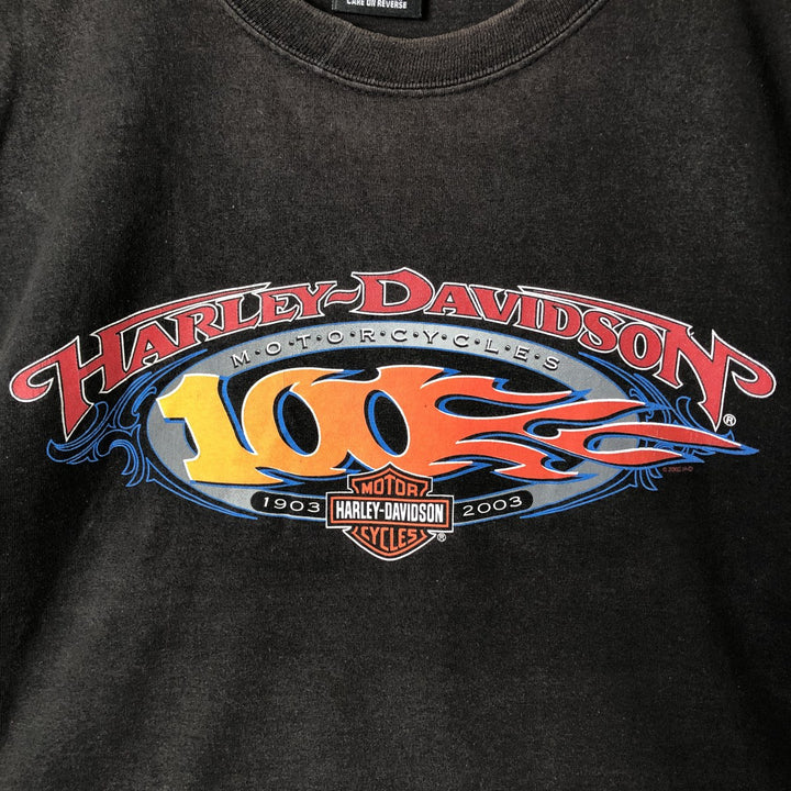 00'S Harley-Davidson Sleeveless Motorcycle Bike T-shirt Made in USA Men's L size cotton brown type Vintage Second Hand