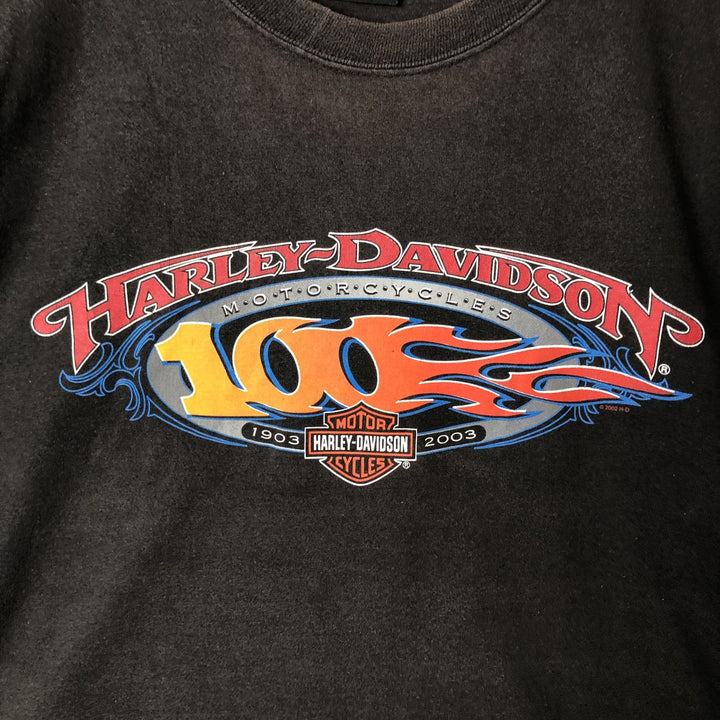 00'S Harley-Davidson Sleeveless Motorcycle Bike T-shirt Made in USA Men's L size cotton brown type Vintage Second Hand