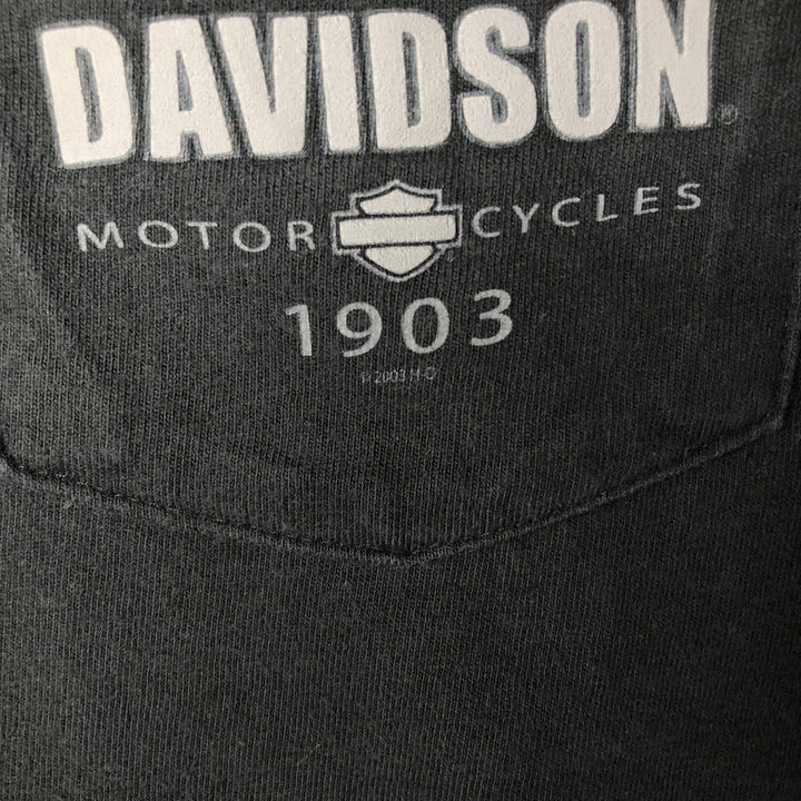 2000'S Harley-Davidson Skull Pattern Tribal Motorcycle T-Shirt, Made in USA, Men's Size XL cotton black type Vintage Second Hand