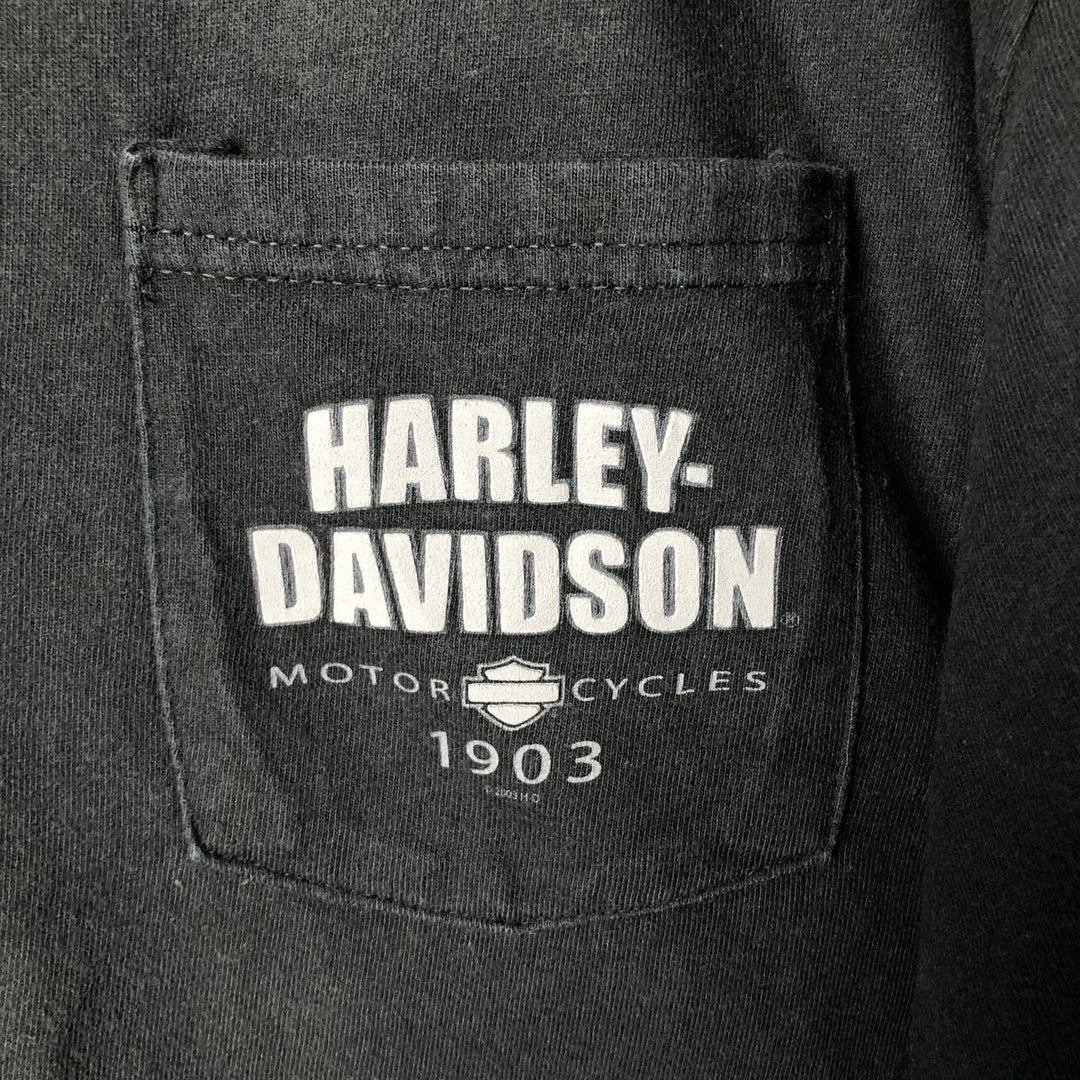 2000'S Harley-Davidson Skull Pattern Tribal Motorcycle T-Shirt, Made in USA, Men's Size XL cotton black type Vintage Second Hand