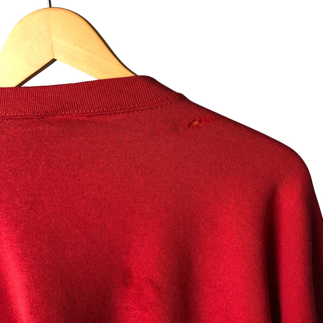 NHL DETROIT RED WINGS Men's Printed Sweatshirt, Size L unclear red type Vintage Second Hand