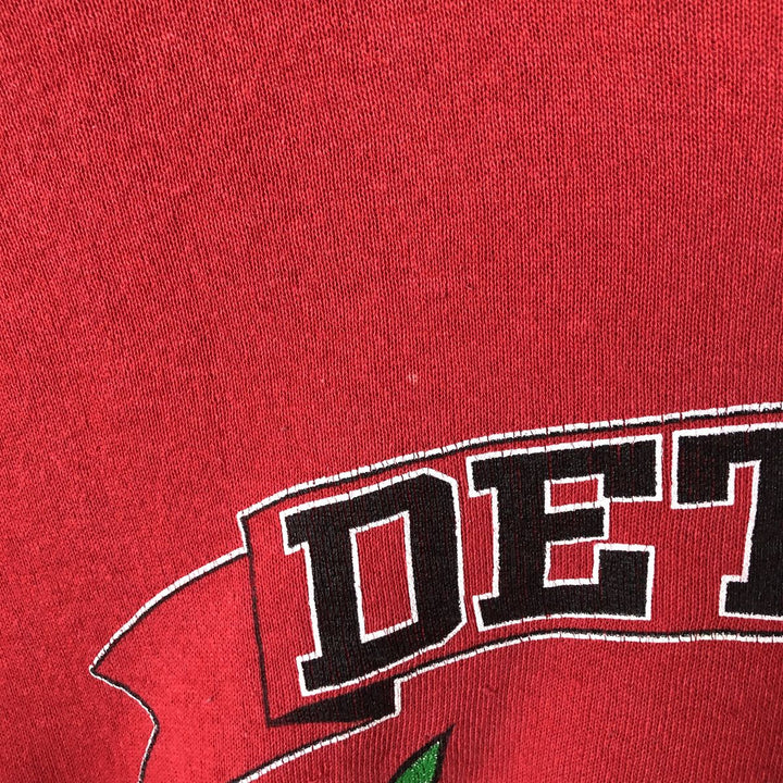 NHL DETROIT RED WINGS Men's Printed Sweatshirt, Size L unclear red type Vintage Second Hand